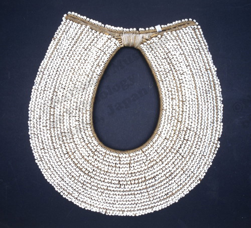 Gorget (chest ornament) from the Bismarck Archipelago