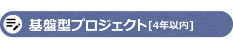 基盤型プロジェクト[4年以内]