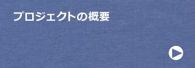 プロジェクトの概要