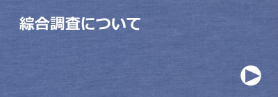 綜合調査について